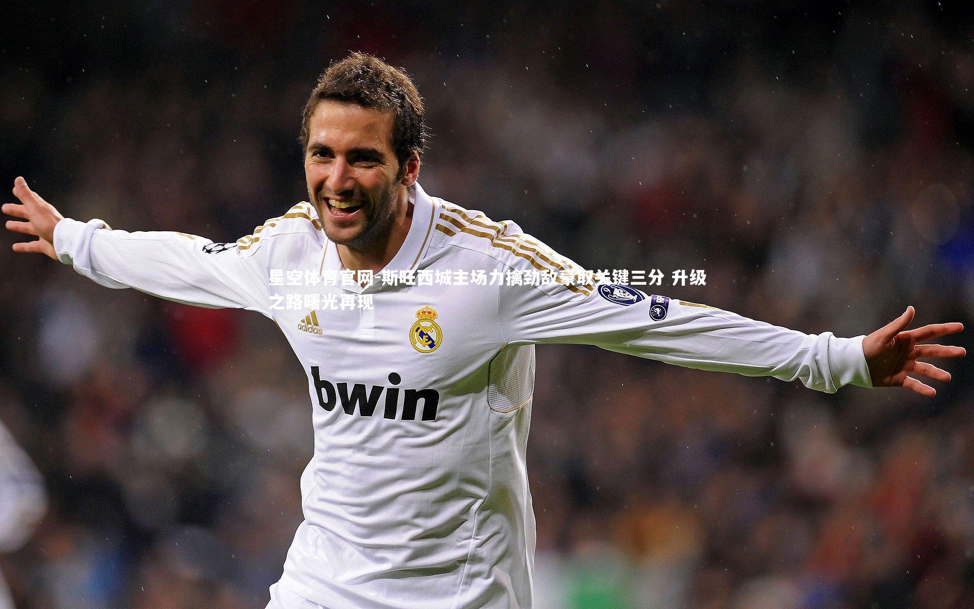 斯旺西城主场力擒劲敌豪取关键三分 升级之路曙光再现